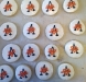 Austin Childrens Shelter Cookies