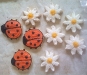 Lady Bugs and Daisys